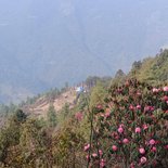 Gosainkunda lake trek