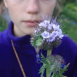 Discovering mountain plants in the Maurienne valley