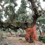 Séjour randonnée et photo en Sardaigne