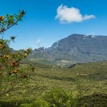 Hiking to discover the high Mafate