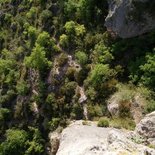 Formation grande voie d'escalade (gorges de la Jonte)