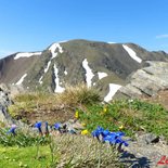 High-altitude trail course in Font-Romeu (Pyrenees)