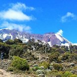 Ascension du Kilimandjaro par la voie Machame