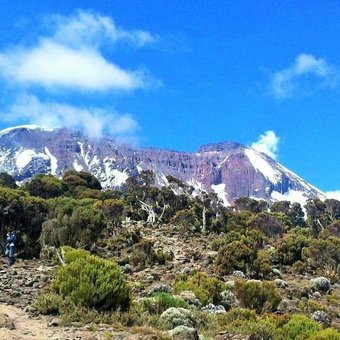 kilimandjaro-voie-machame.jpg