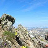 High-altitude trail course in Font-Romeu (Pyrenees)